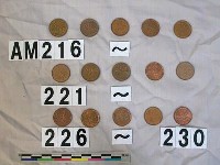 藏品(加拿大一分硬幣)的圖片